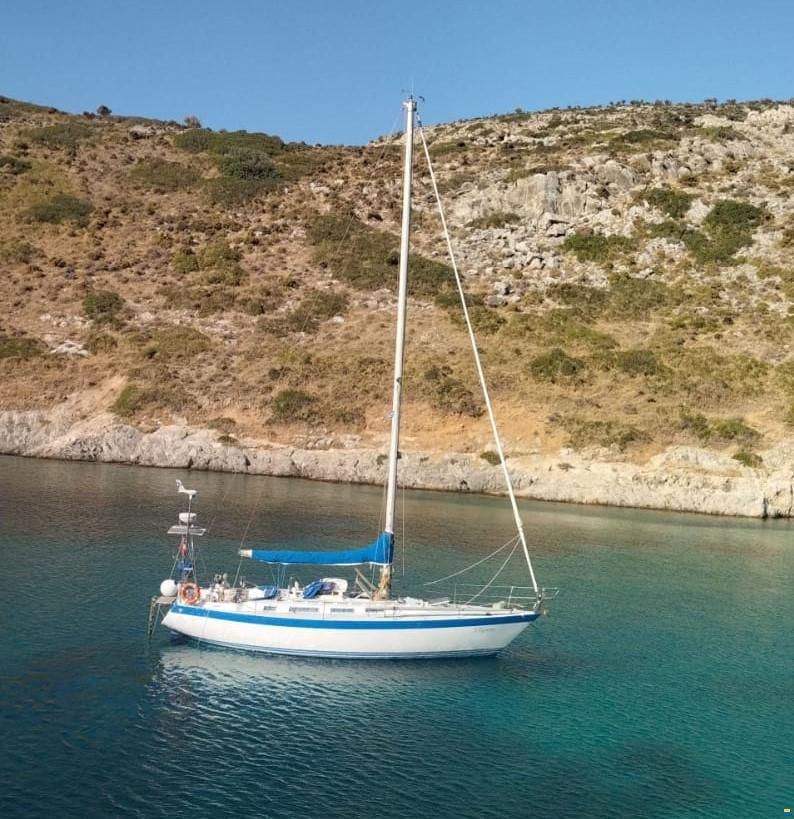 Wauquiez Hood 38