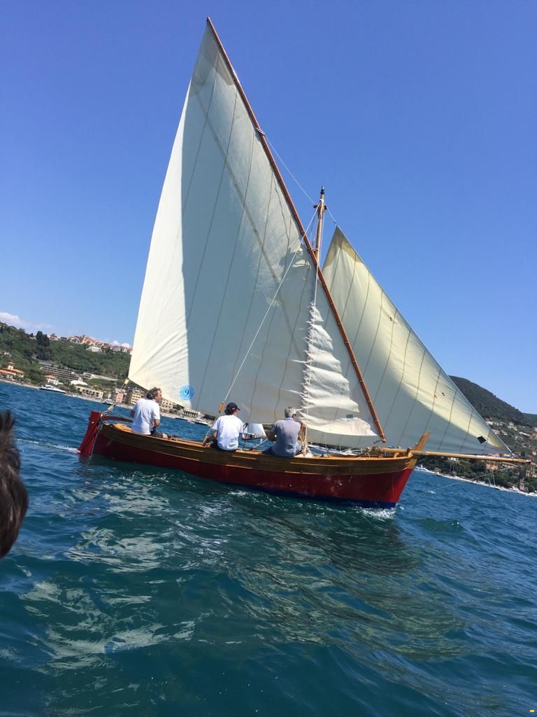 Gozzo a vela latina
