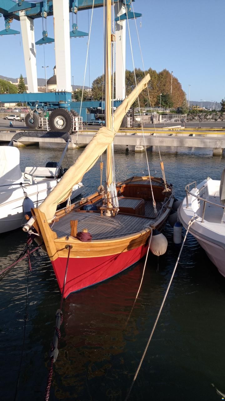 Gozzo a vela latina