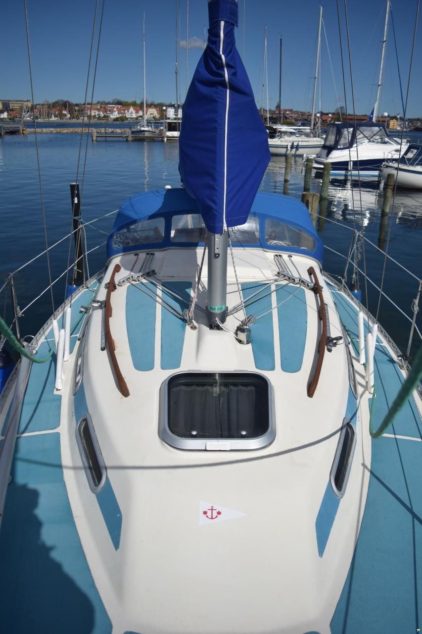 Colina L29 DEN 113