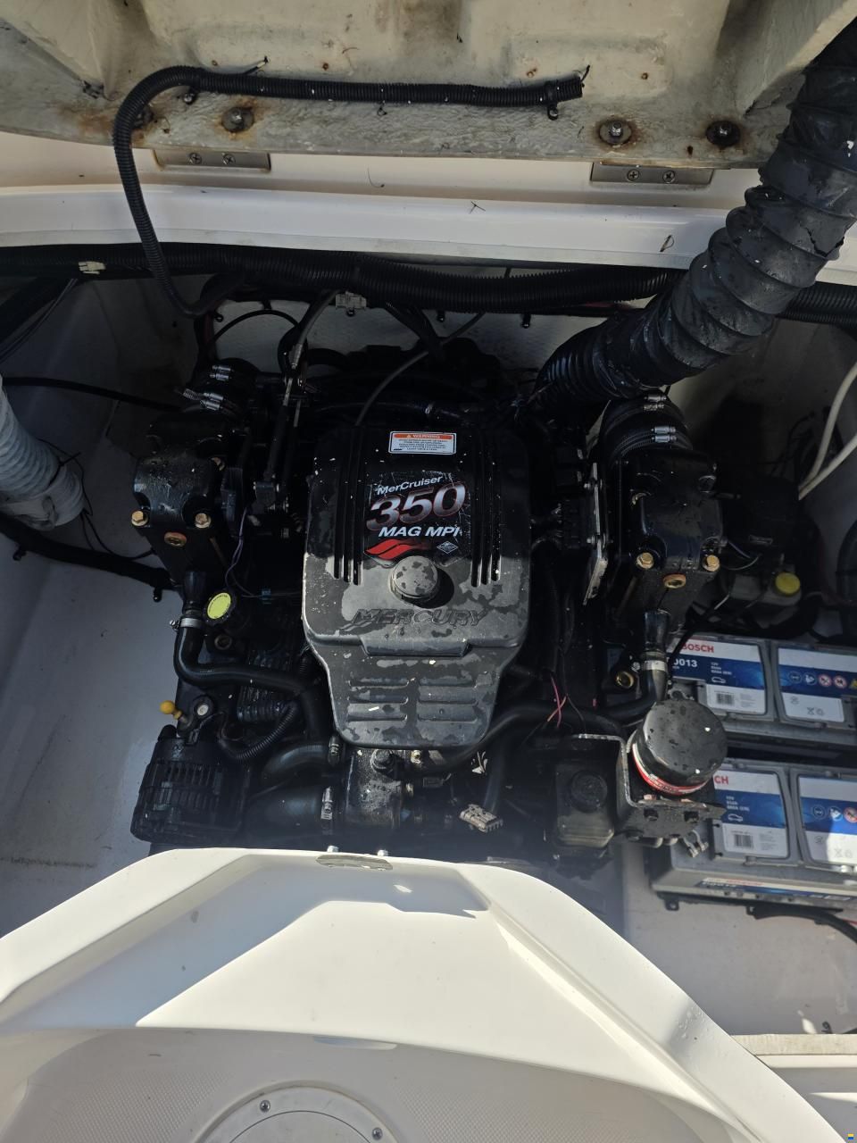 Regal 2450 Cuddy