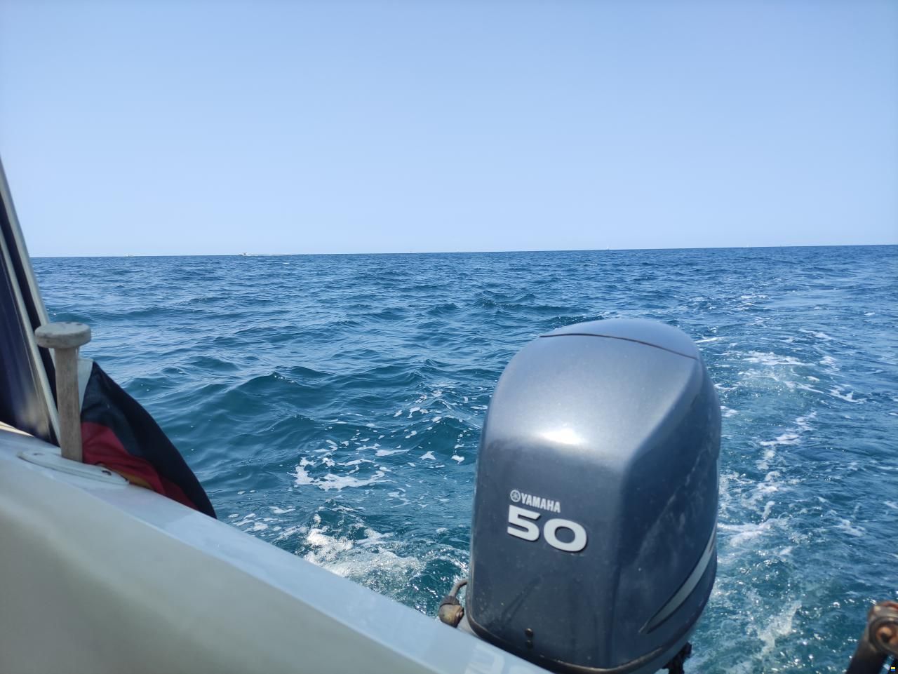 CH Marine Dolphin