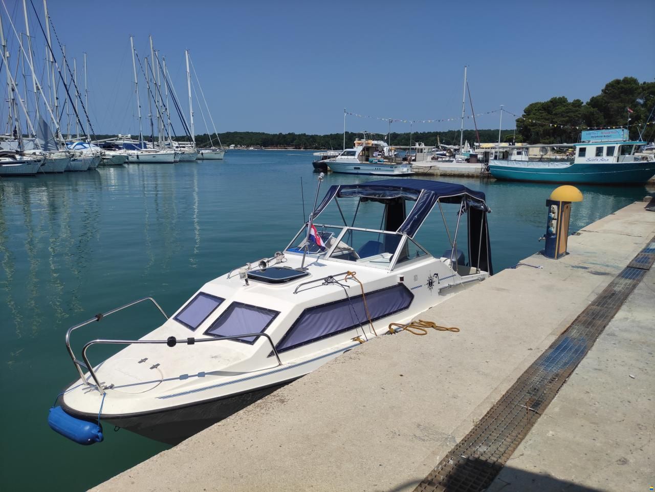 CH Marine Dolphin