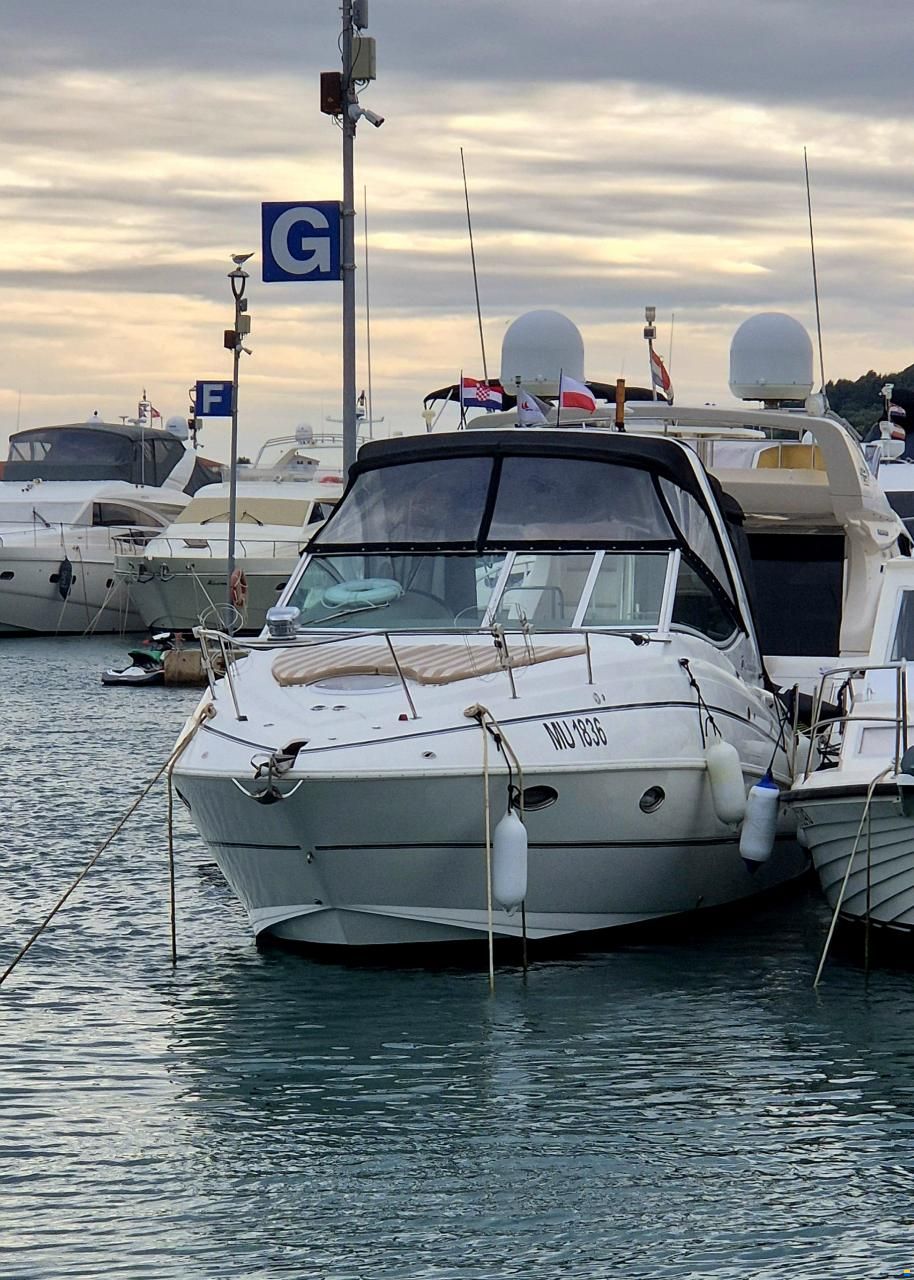 Cruisers 300 CXi