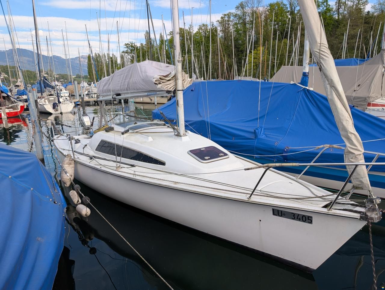 Archambault Surprise