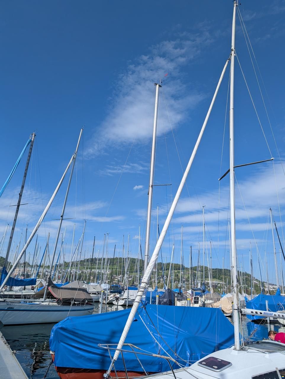 Archambault Surprise