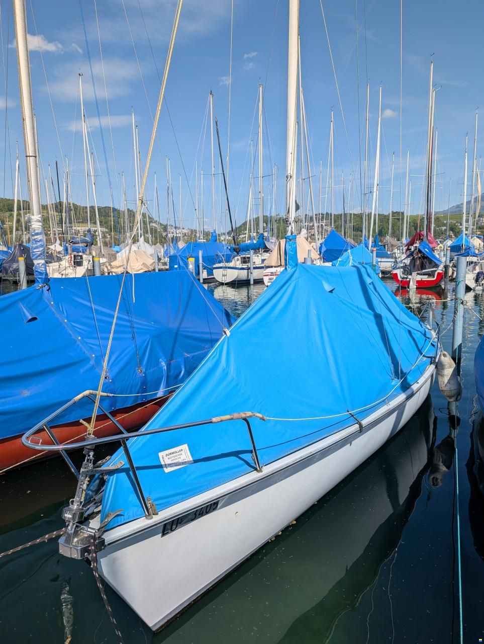 Archambault Surprise