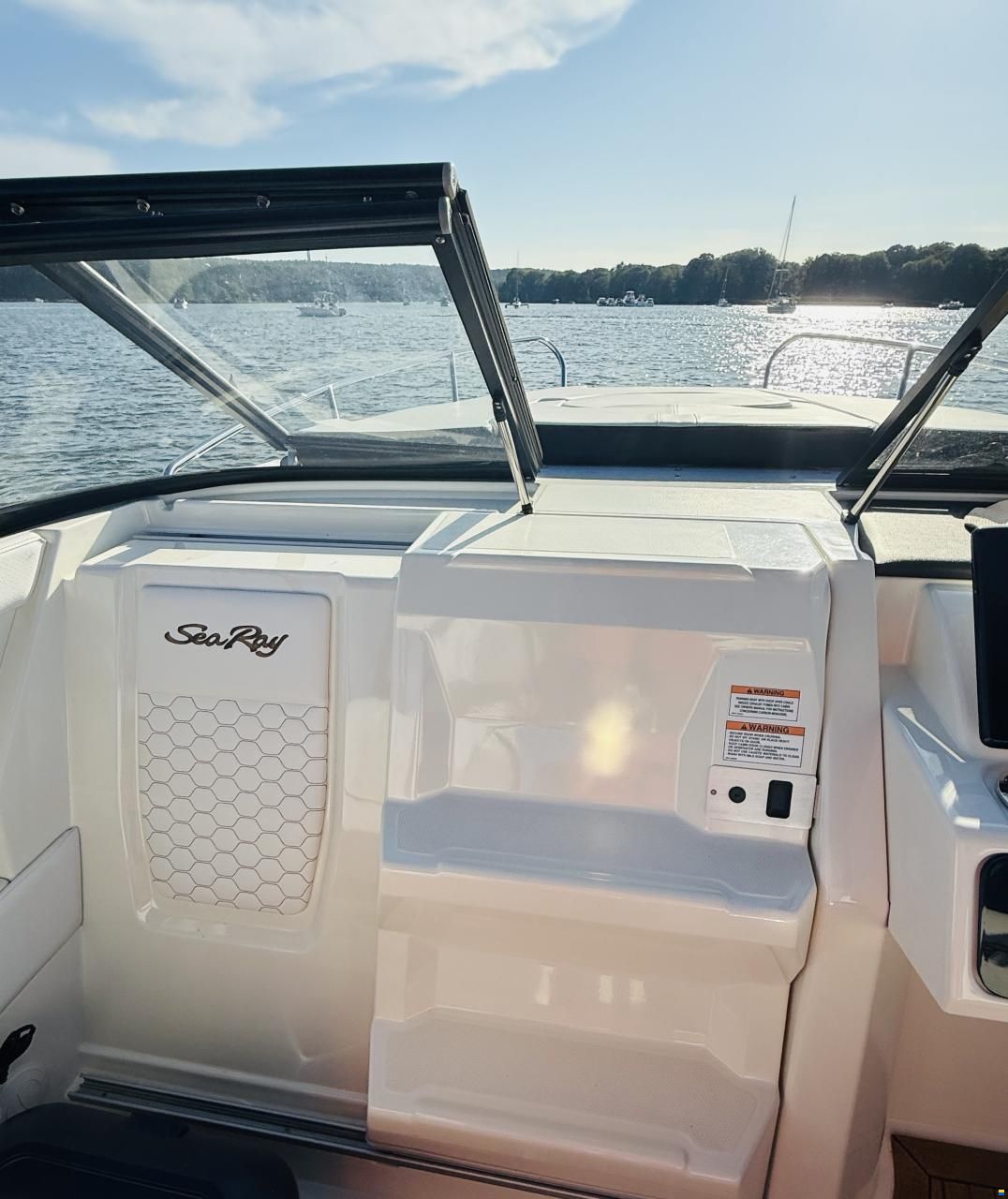 Sea Ray 250 Sun Sport