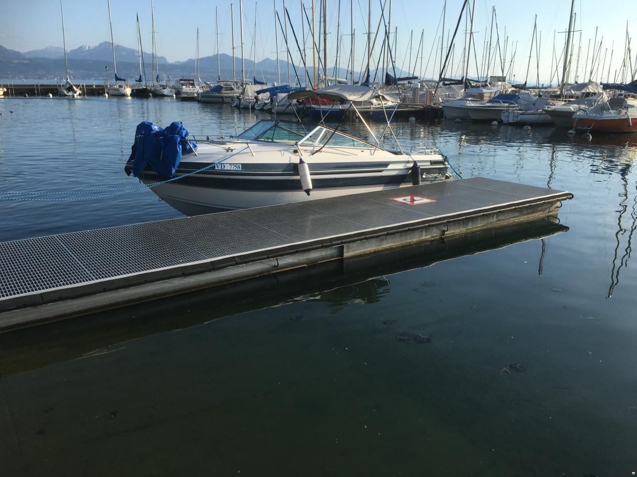 Thompson Carrera 220