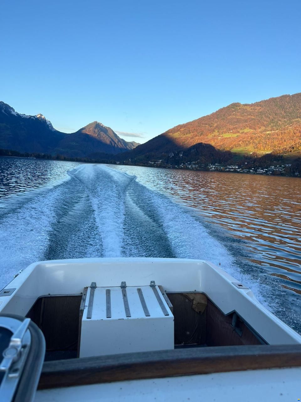 Schweizer Saphir 650