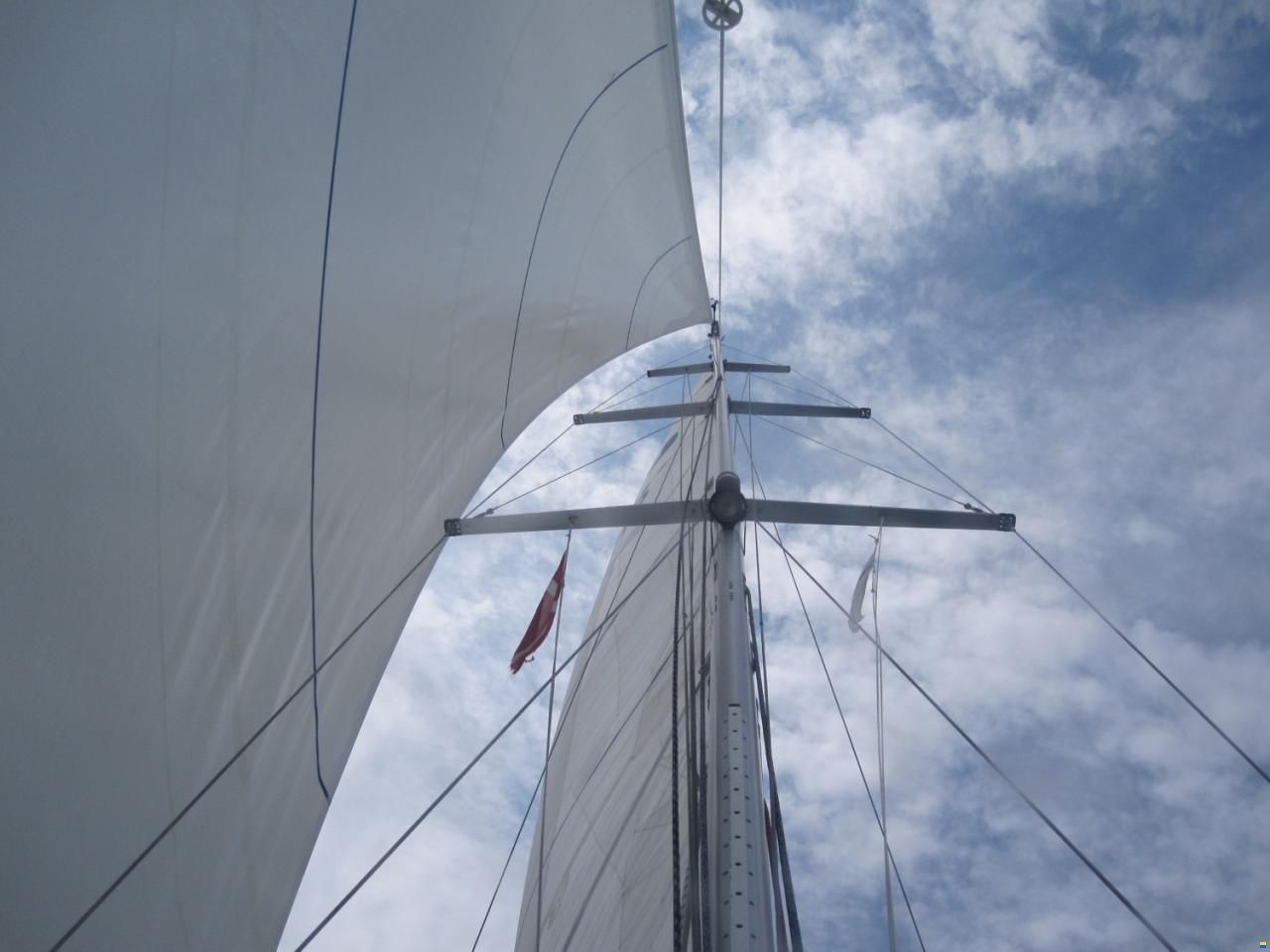 Luffe 40