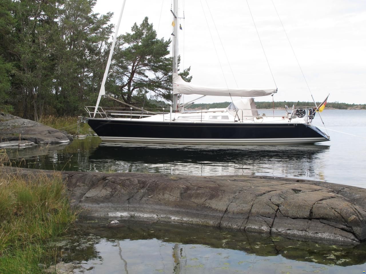Luffe 40