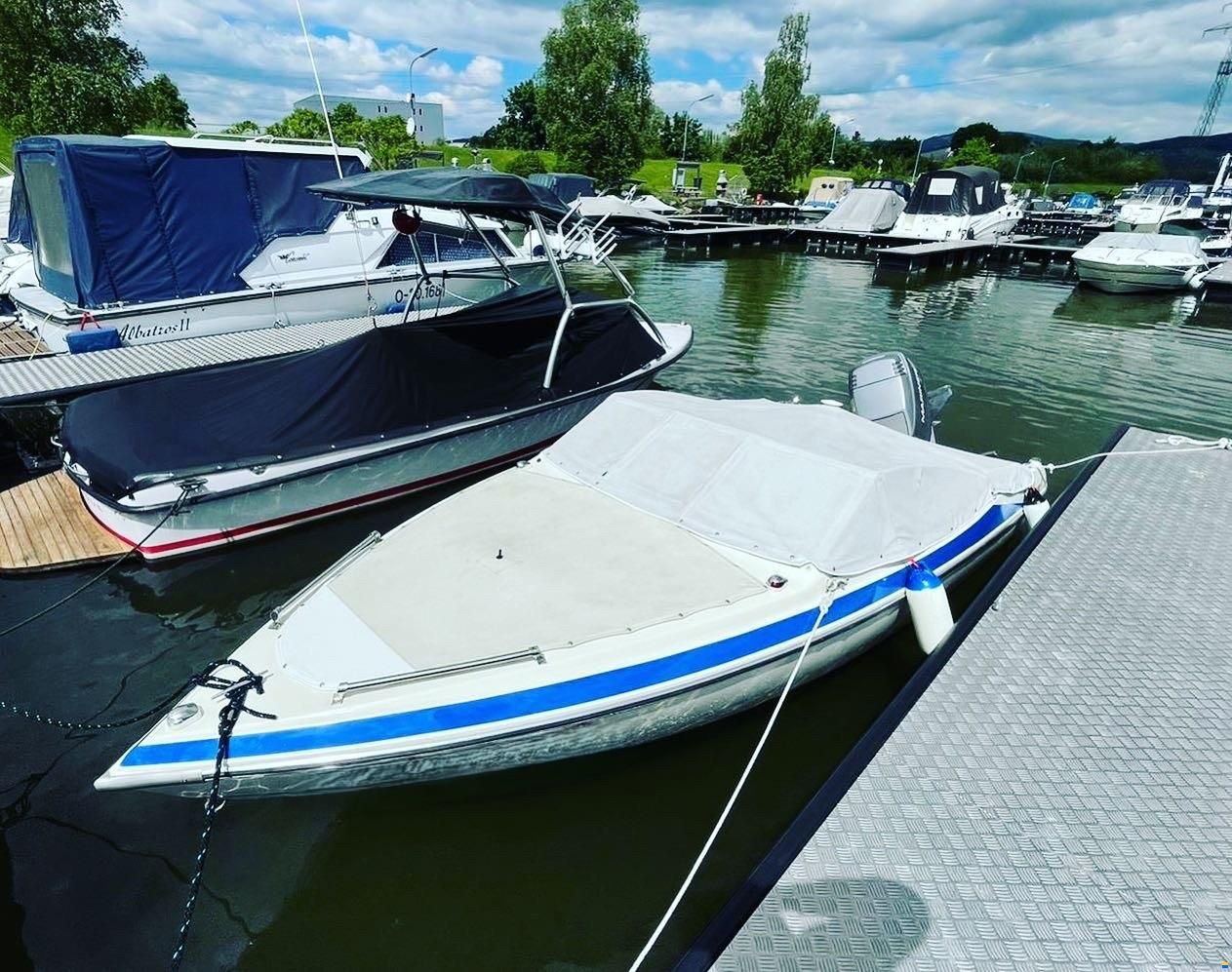 Stingray 501 ZP