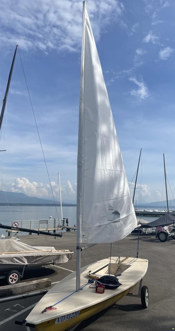 Laser Standard et Radial