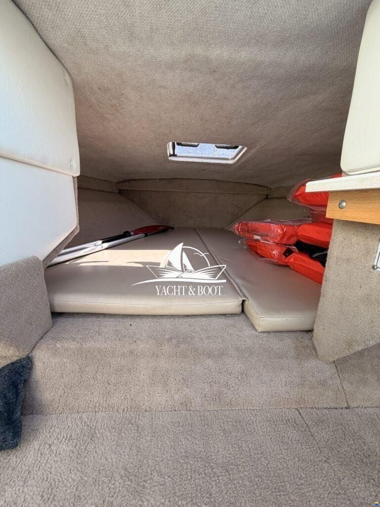 Sea Ray CB 200 Signature