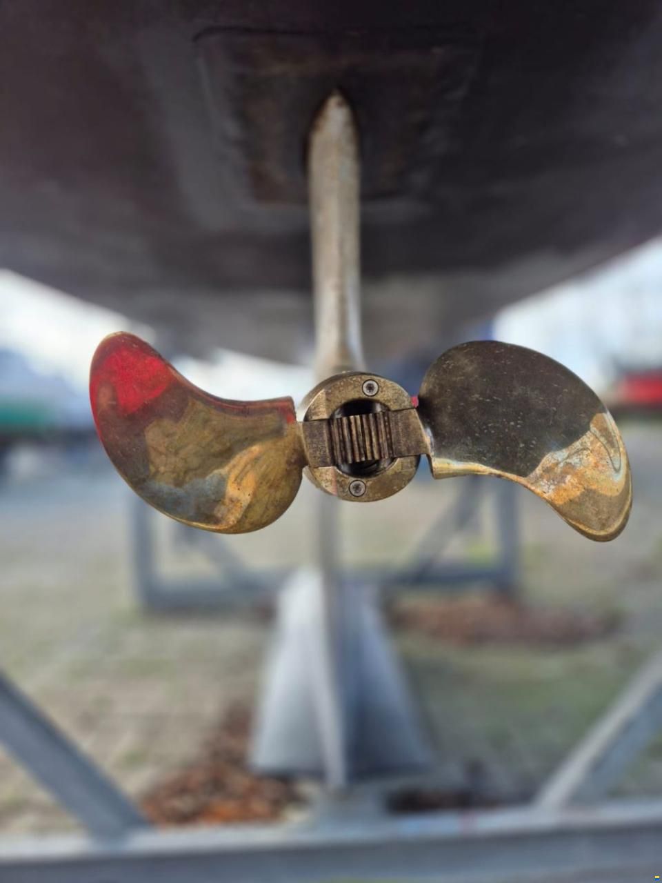 Maxi 800