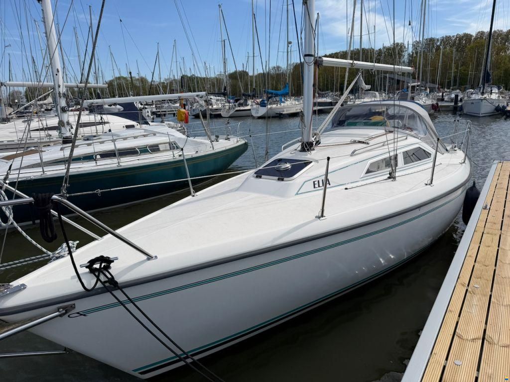 Maxi 800