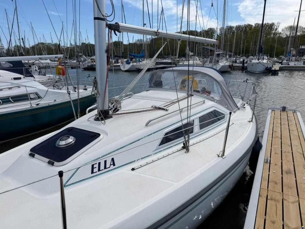 Maxi 800