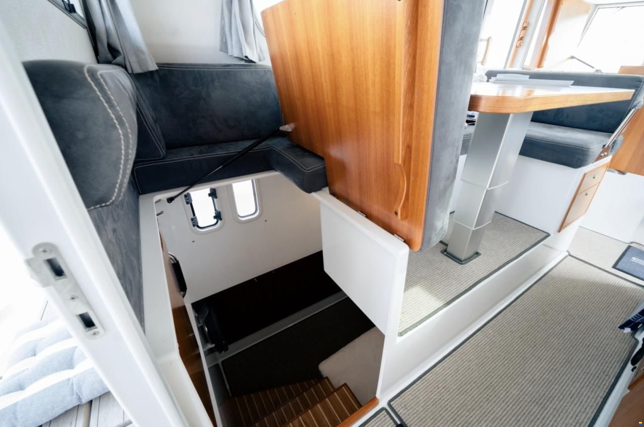 Sargo 33