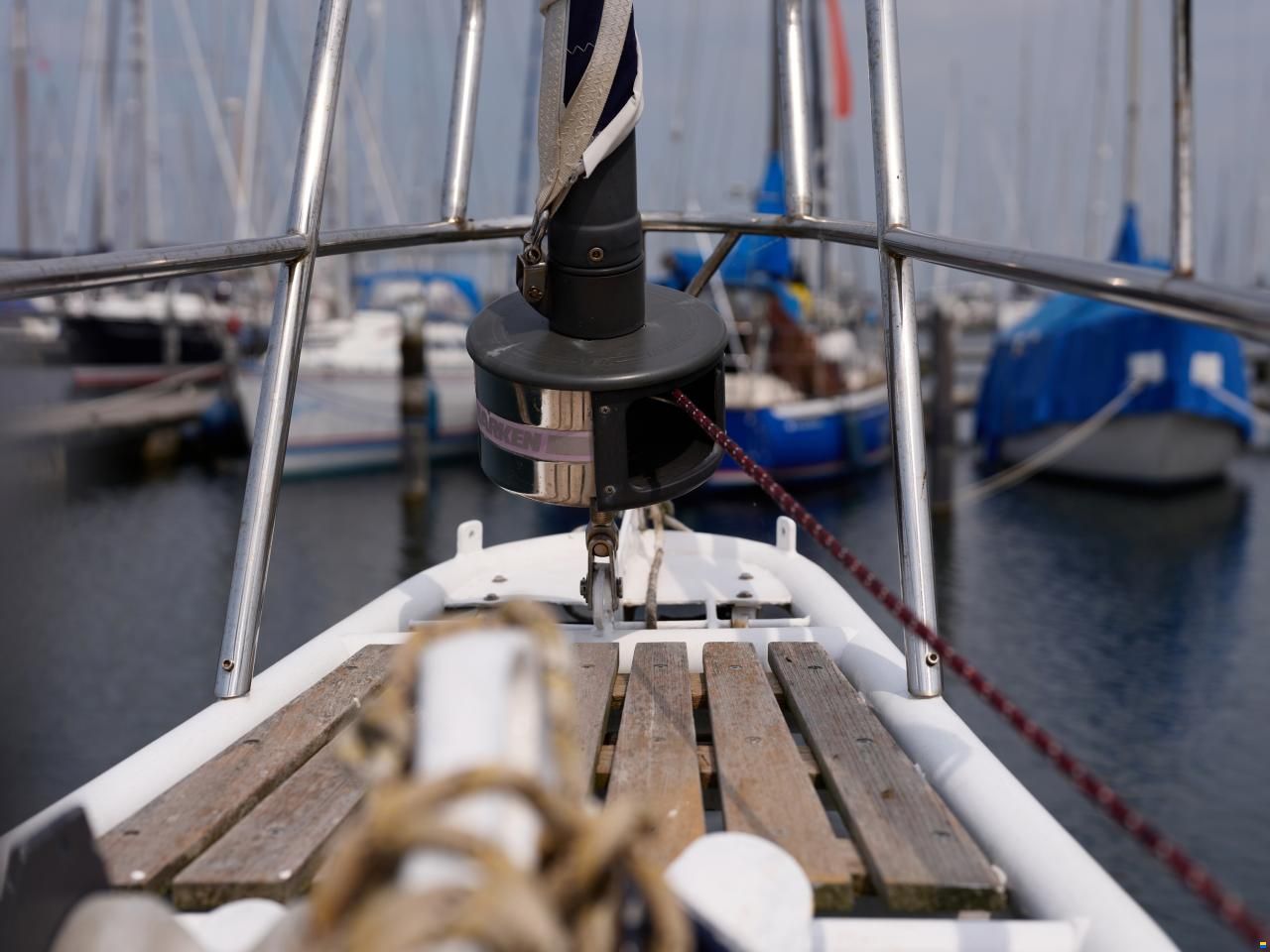 Koopmans 40