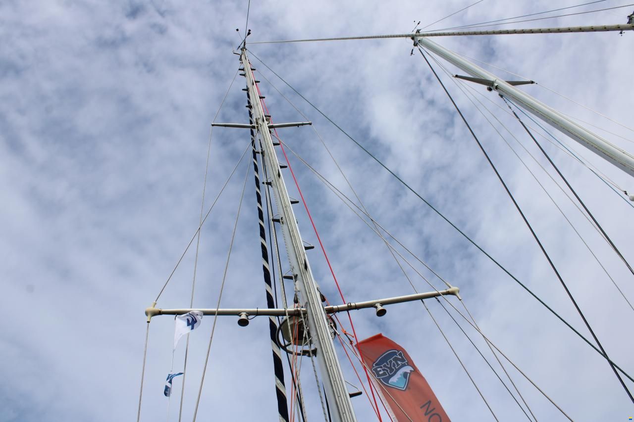 Koopmans 40
