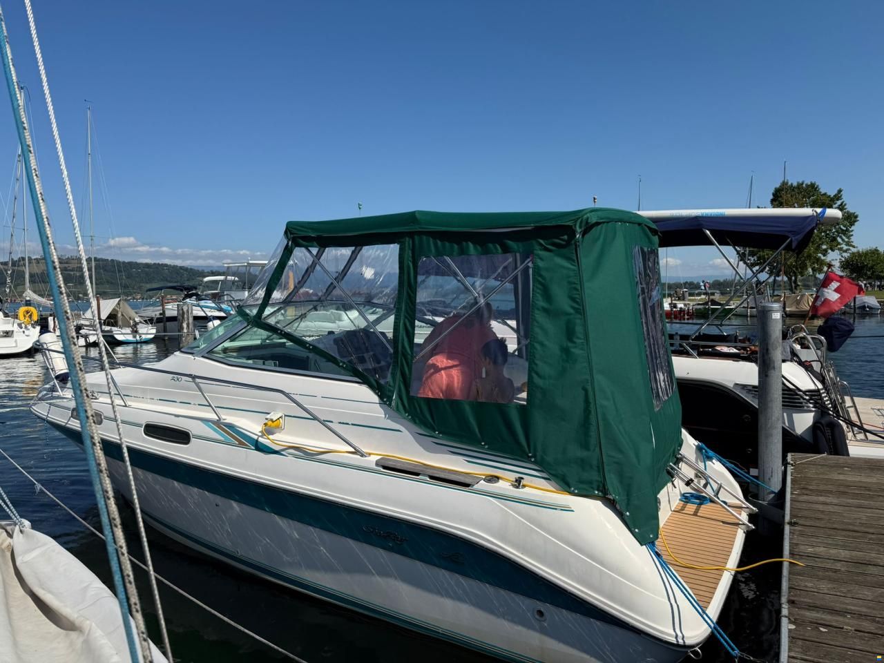 Sea Ray 230
