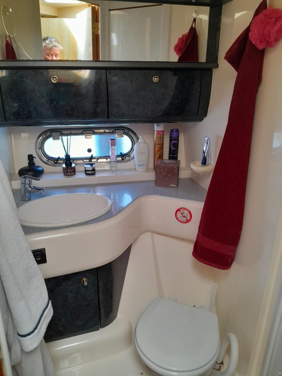 Sealine S41
