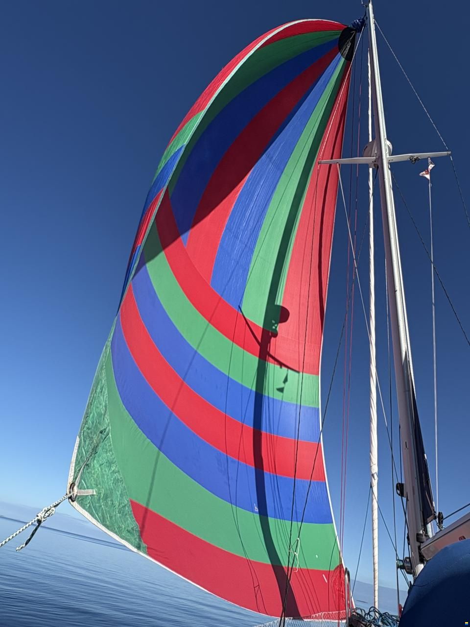 Trintella 42