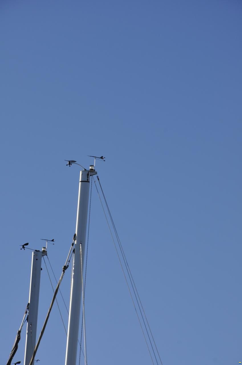 Bavaria 37 CRUISER