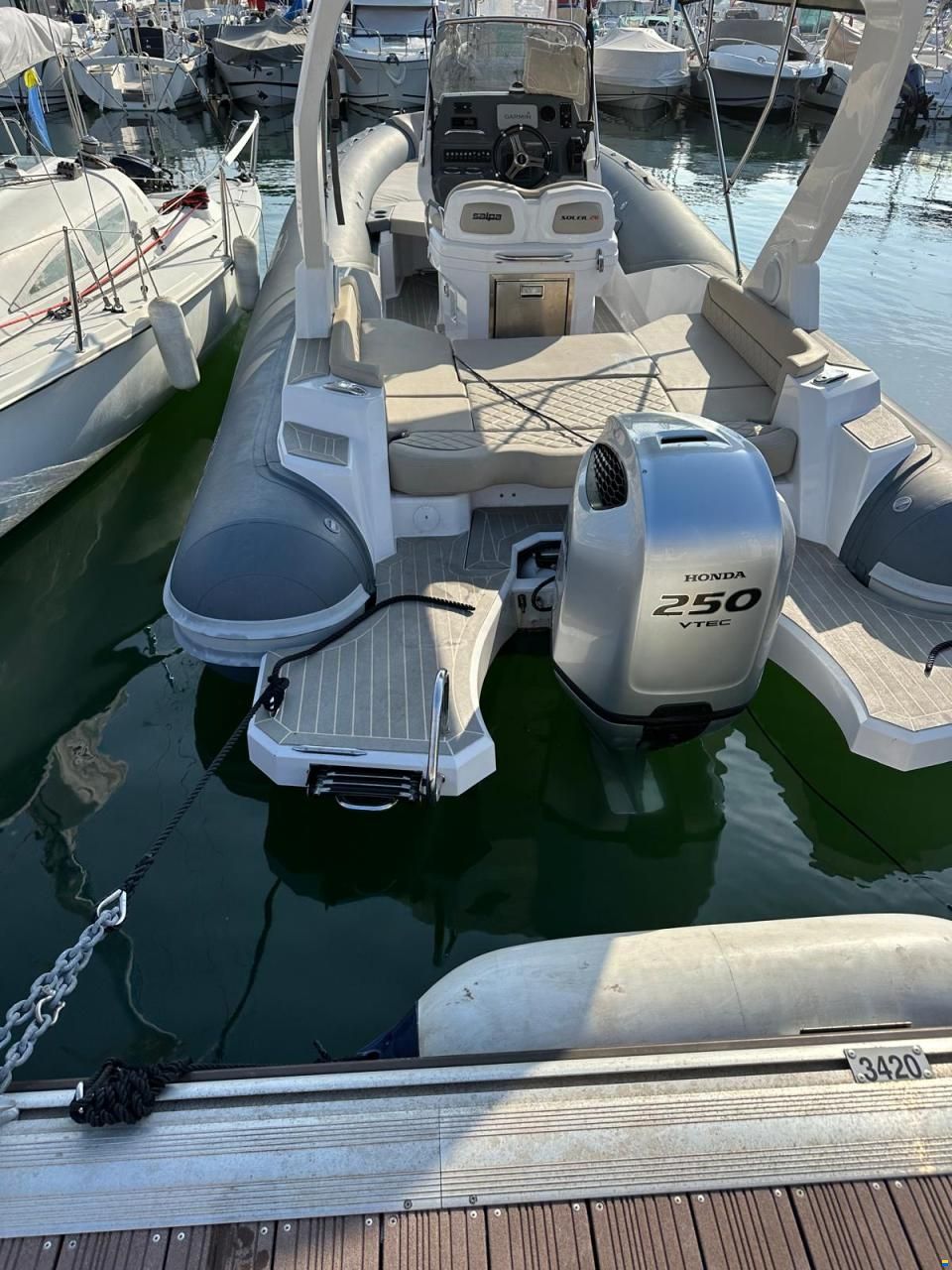 Salpa Soleil 26