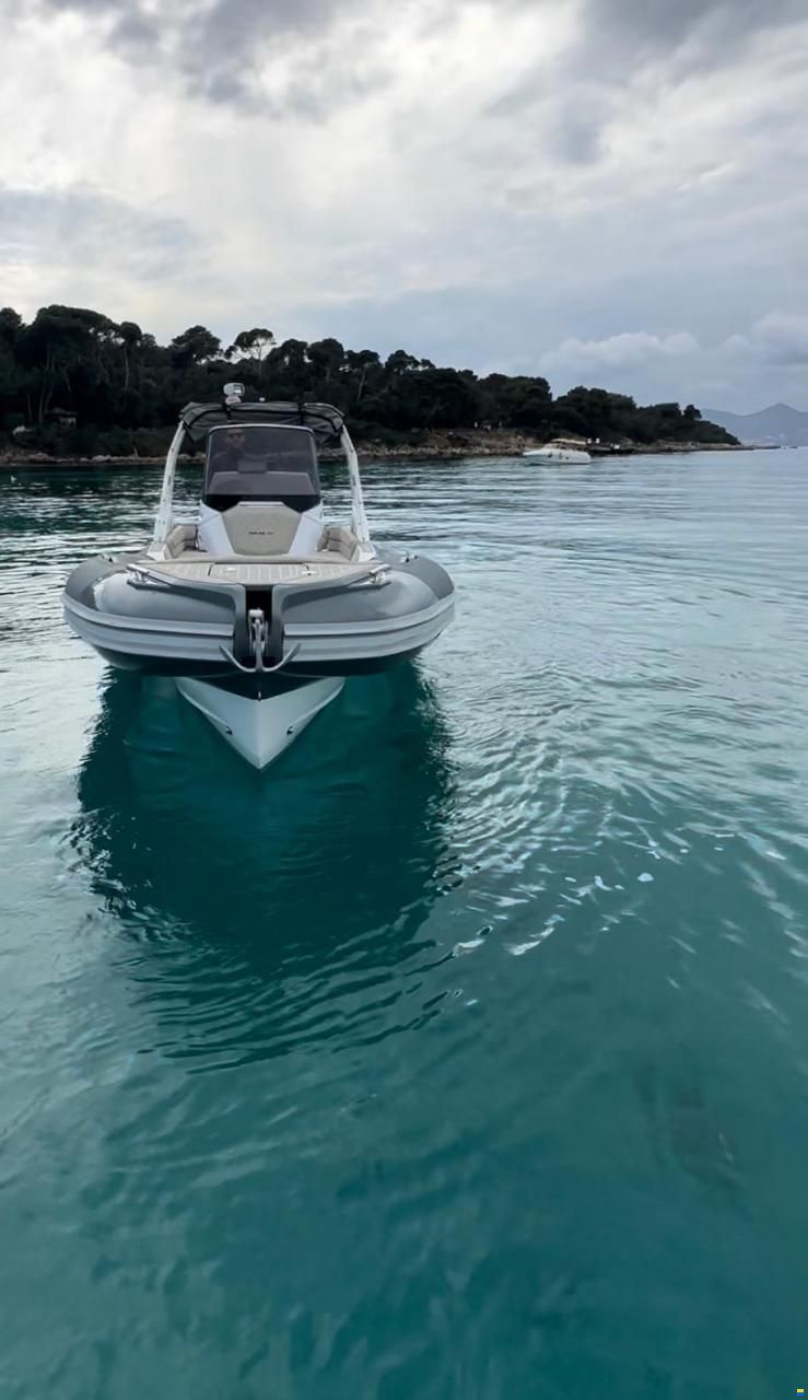 Salpa Soleil 26
