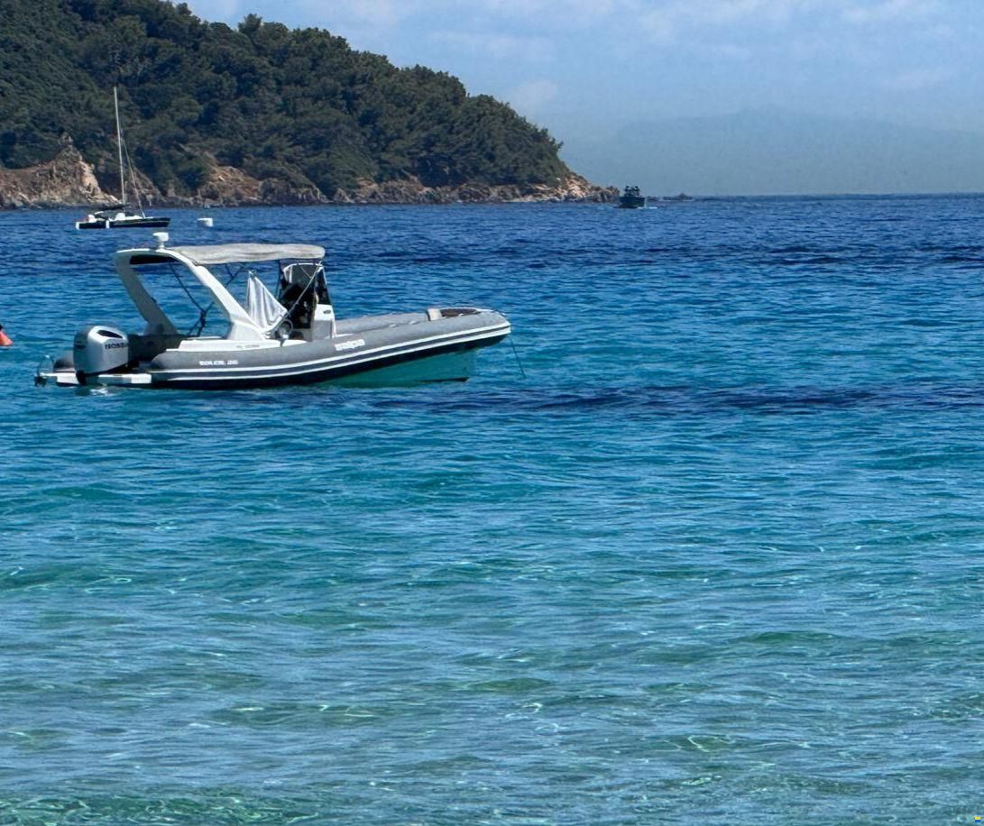 Salpa Soleil 26