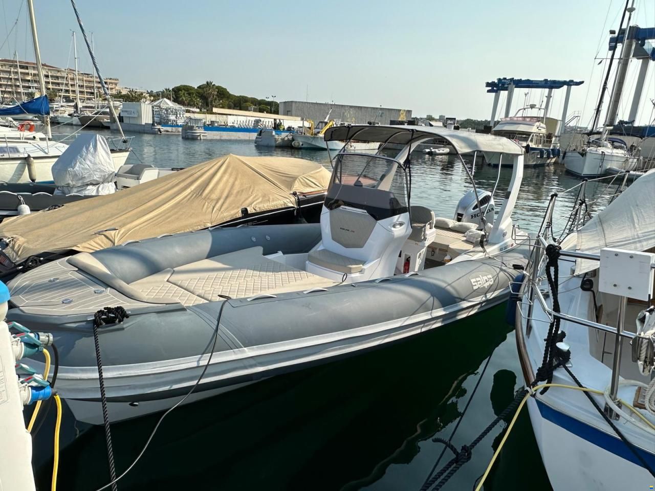 Salpa Soleil 26