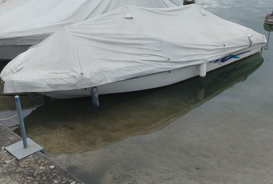 Sea Ray 195 BR