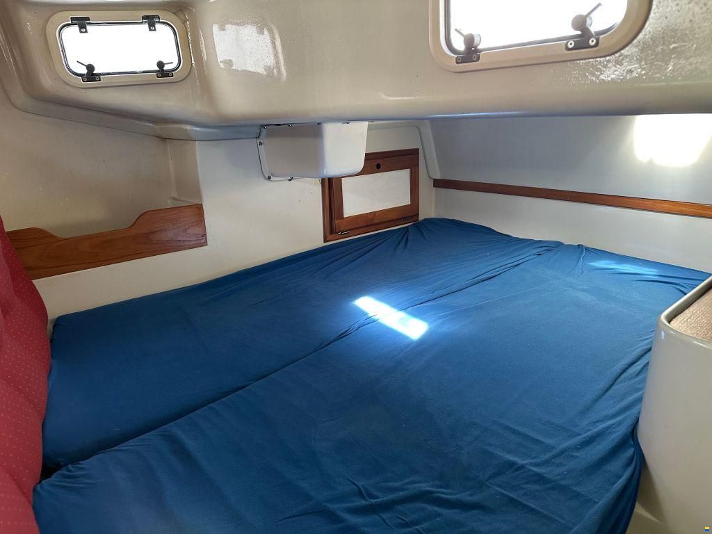 Catalina 320