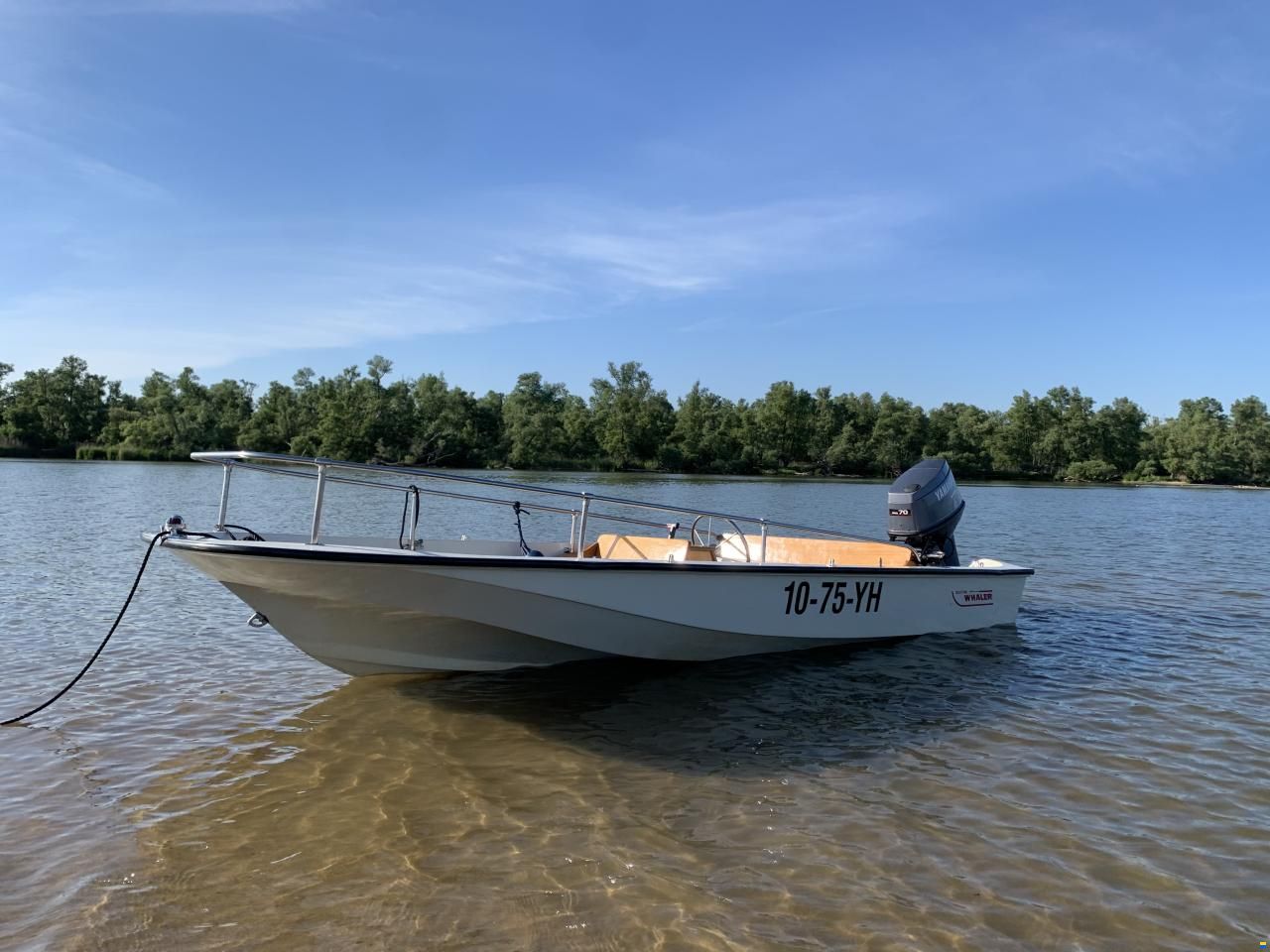 Boston Whaler 15 Super Sport