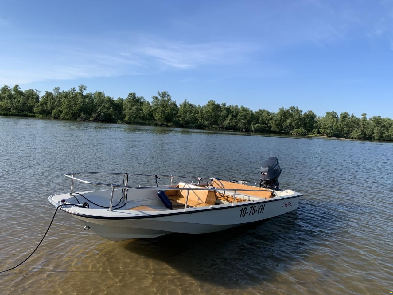Boston Whaler 15 Super Sport