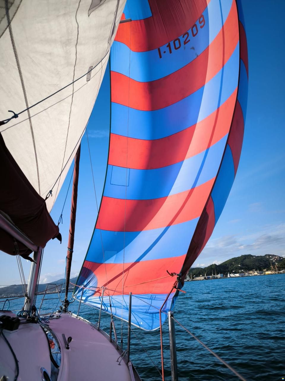 Delphia 28 Sport