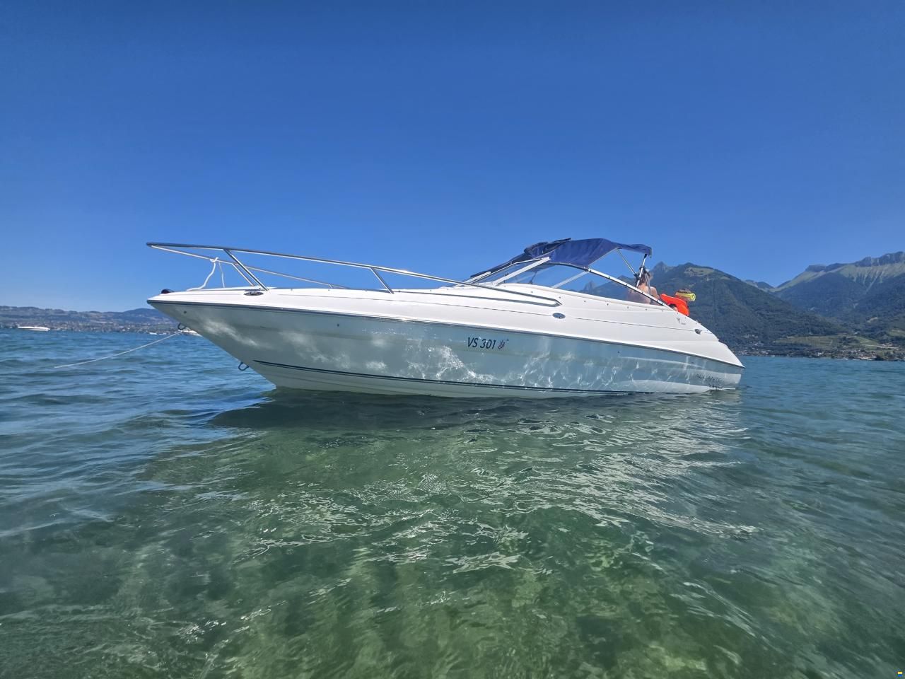 Campion Allante 6251
