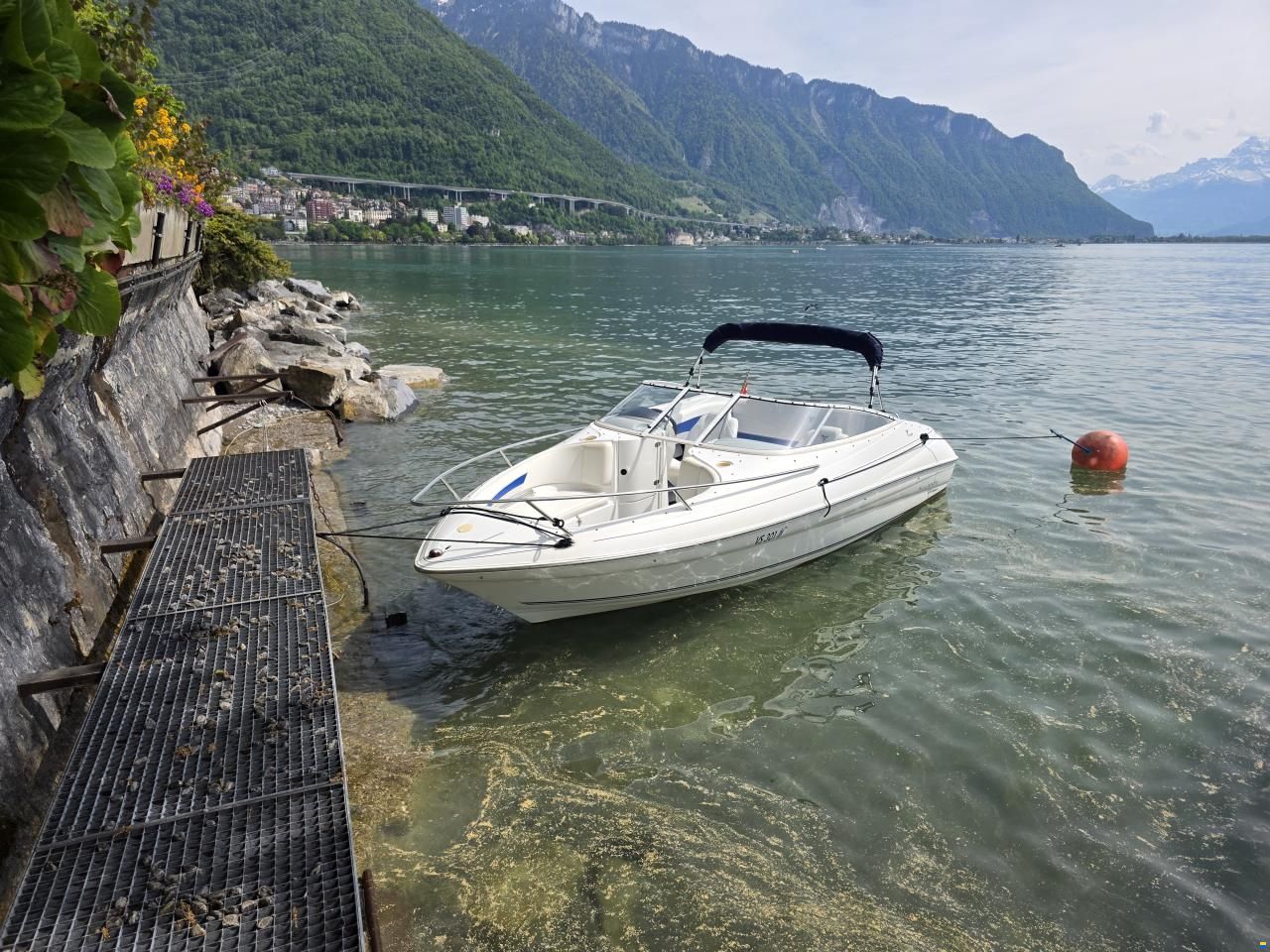 Campion ALLANTE 6251