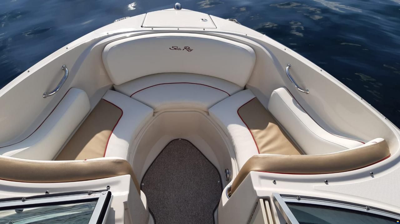 Sea Ray 210 SELECT