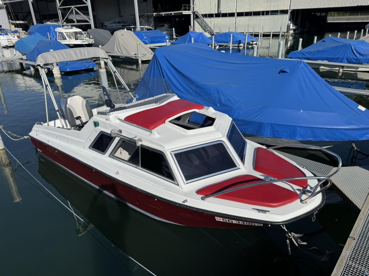Chrisidon Microplus 502