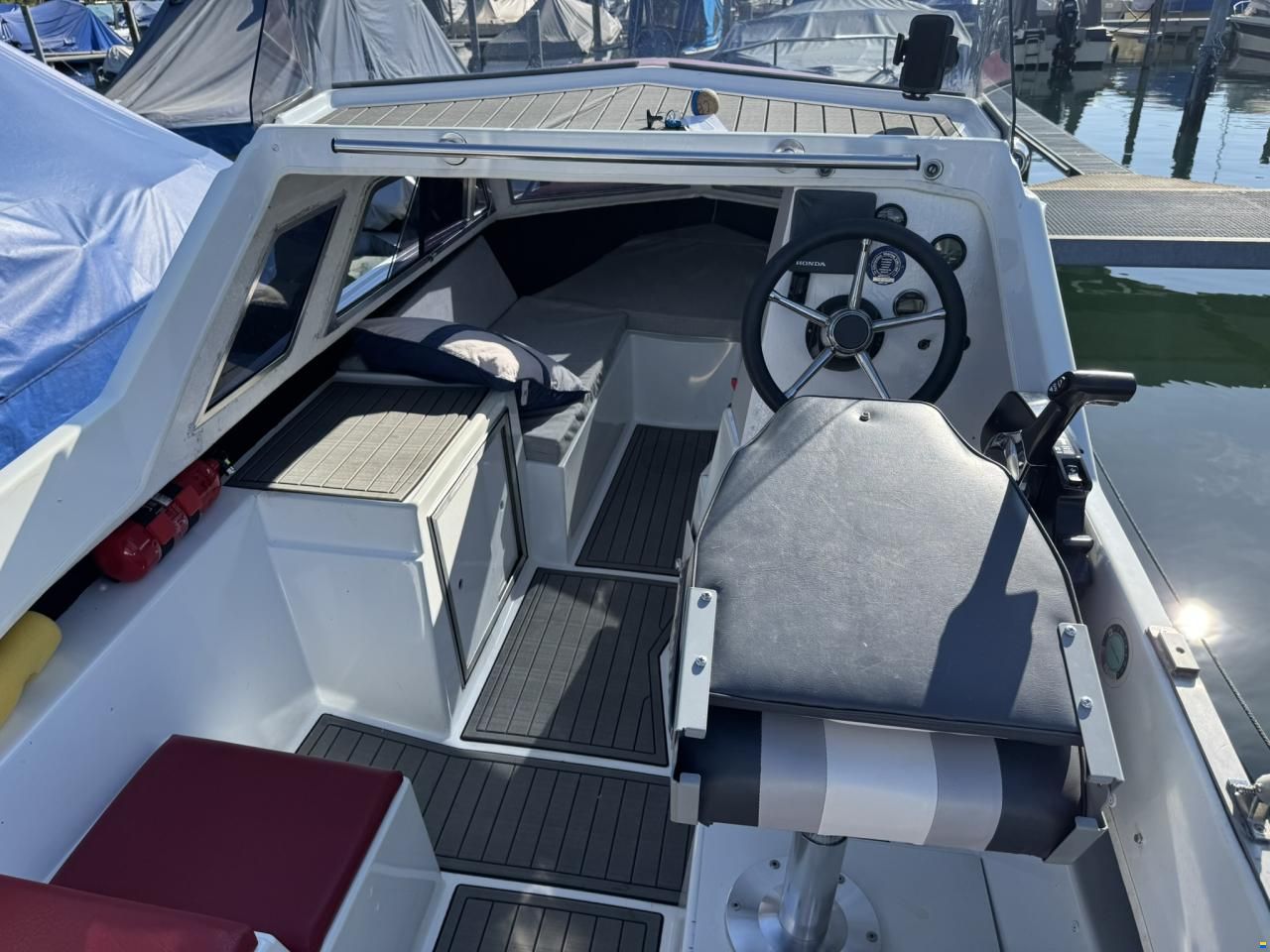 Chrisidon Microplus 502