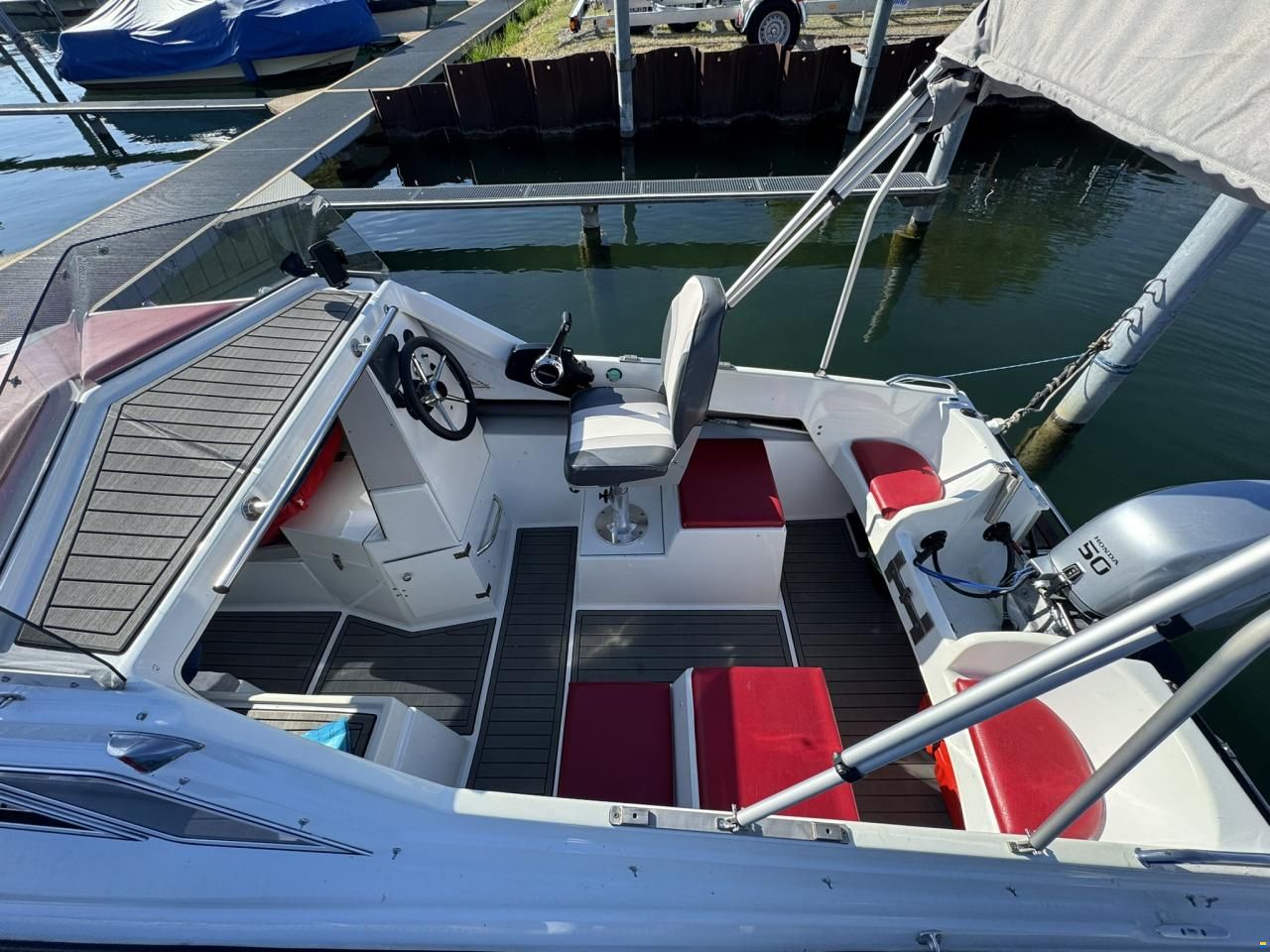 Chrisidon Microplus 502