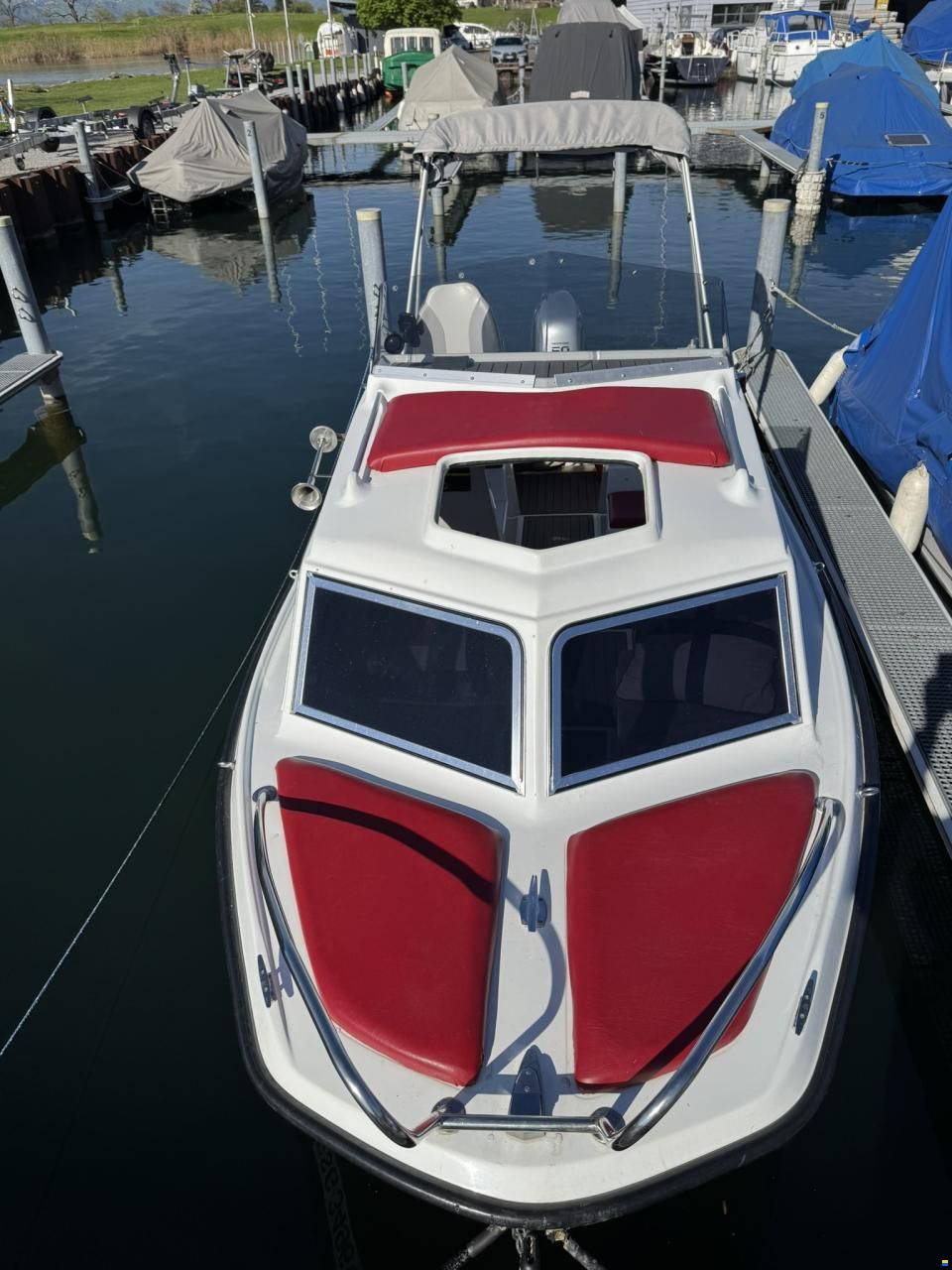 Chrisidon Microplus 502