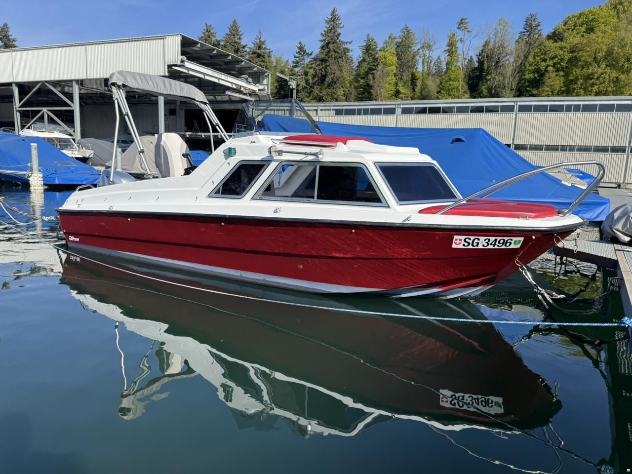 Chrisidon Microplus 502