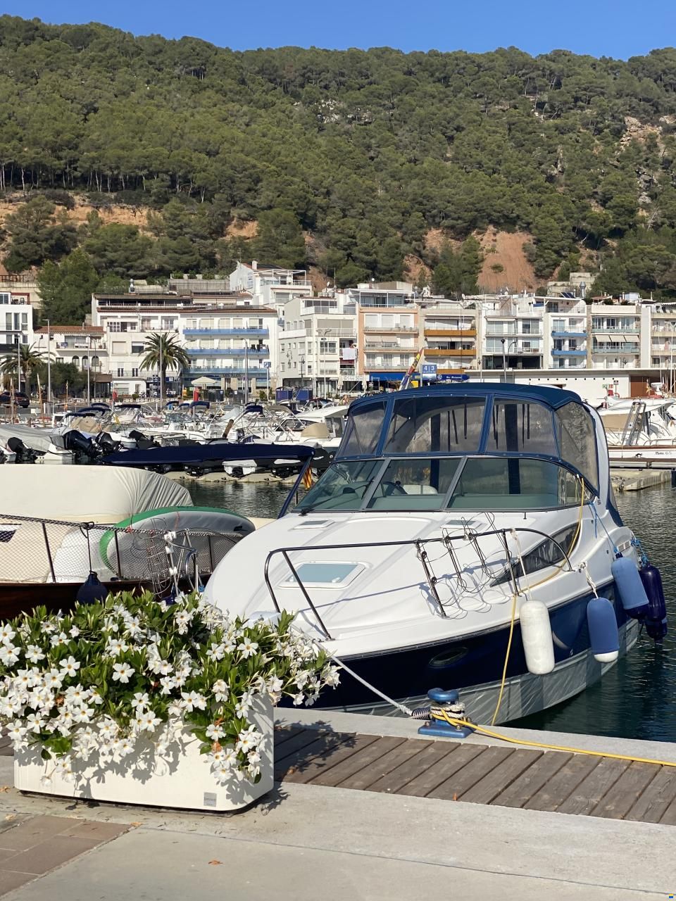 Bayliner 285 SB