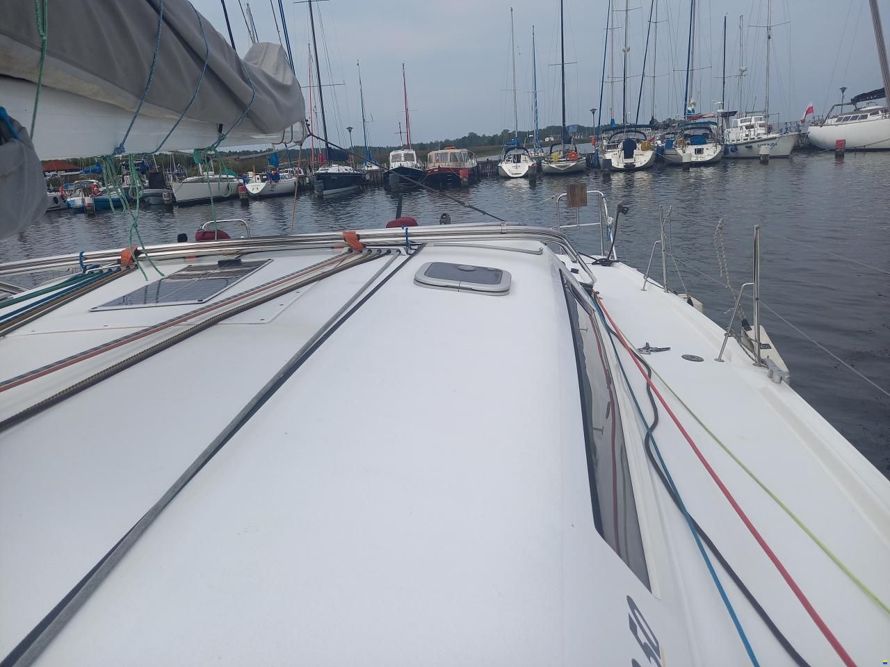 Pogo 12.50