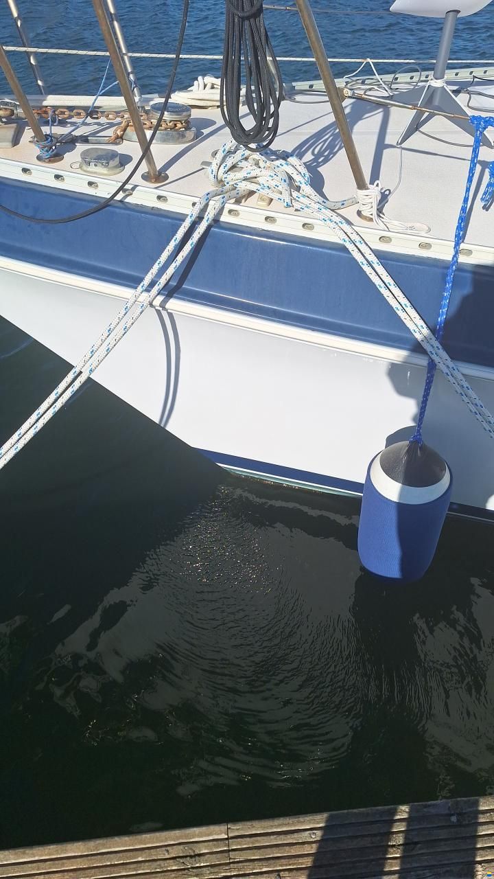 Catalina Morgan Classic 41
