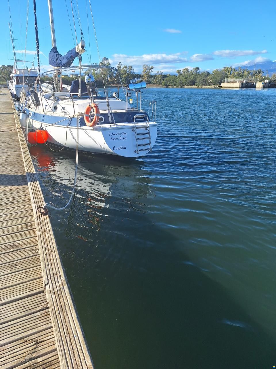 Catalina Morgan Classic 41